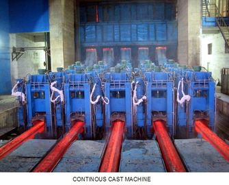 Siemensの周波数変換の電子制御が付いている耐久のCCM投げる機械